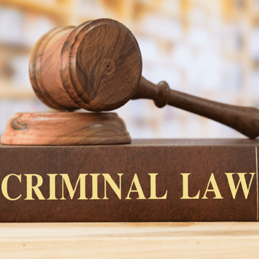 Best Criminal Litigation Law Firm in Delhi