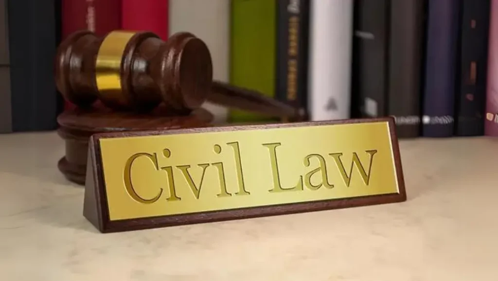 Civil Litigation Lawyers in Delhi