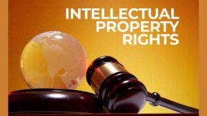 Intellectual Property Rights